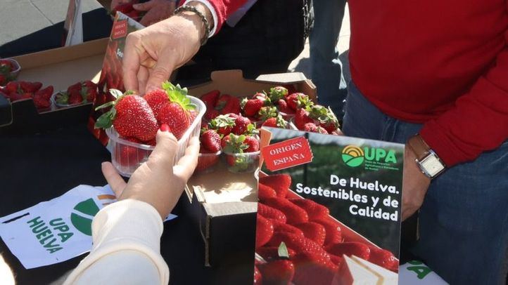 Reparto de fresas en la Puerta del Sol