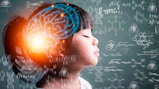 Neuroeducación y diseño universal para el aprendizaje