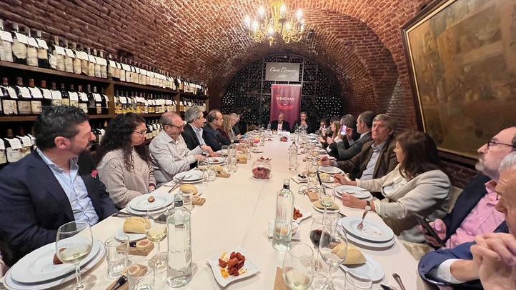 Presentación de Winemad