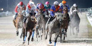 El Hipódromo de la Zarzuela: la nueva casa de las carreras de caballos en Madrid