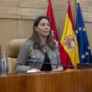 Archivada la causa contra Ana Millán