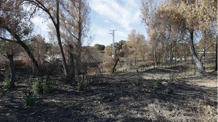 Zona calcinada por el incendio que tuvo lugar en agosto en Tres Cantos
