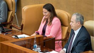 La vicepresidenta de la Mesa de la Asamblea, Ana Millán, durante un pleno en la Asamblea de Madrid