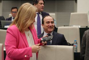 Archivo: Borja Carabante en el Pleno de Cibeles