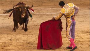 Toros en Las Ventas
