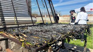 Calçots asados a la brasa como en las calçotadas