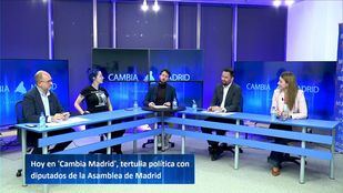 Modelo energético, subvenciones 'a dedo' y nuevas reyertas con bandas juveniles, a debate