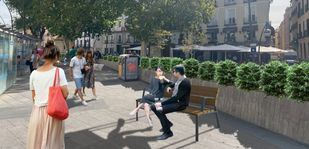 Una veintena de árboles nuevos en la plaza de Tirso de Molina tras su remodelación