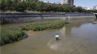 Imagen de recurso de la campaña contra la mosca negra en el Manzanares