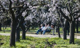 Una exposición en la Casa del Reloj celebra el centenario de la Quinta de los Molinos