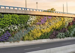 Nuevo jardín vertical en la M-30 a la altura de Ventas