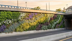 El proyecto se desarrollará a la altura de Ventas, en el tramo comprendido entre los puntos kilométricos 5,900 y 6,300.