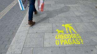 Vigilancia con drones y patrullas: Galapagar empieza a multar por no recoger las heces de mascotas