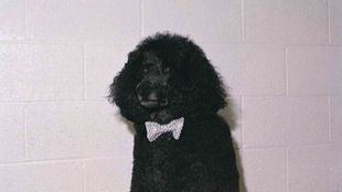 PHotoEspaña 2026: programa, exposiciones y claves del festival