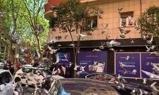 La "domadora de palomas" que tiene en jaque a Delicias