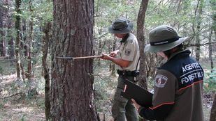 Sin nuevas plazas en 2026: crece la preocupación entre los agentes forestales
