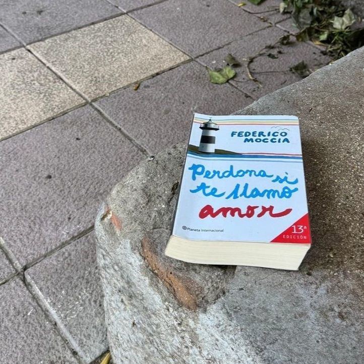 Más de 27.000 libros liberados en Vallecas con el 'BookCrossing'