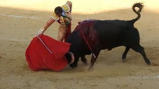 Dolores y Escolar lidian un interesante encierro de triunfo…que se le escapó a la terna