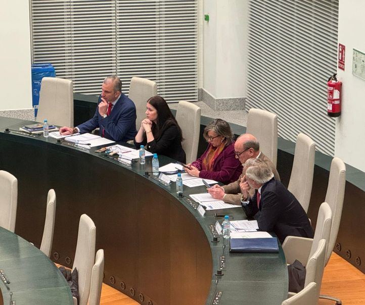 Arantxa Cabello se autoproclama 'portavoz legítima de Vox' y califica de 'cacique' la decisión de Almeida