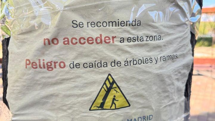 '¿Y si te cae una rama al leerlo?': los carteles que avisan del peligro de los árboles
