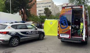 El suceso se ha producido en la en la calle Rafael Finat, en el distrito madrileño de Latina.