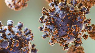 Hantavirus