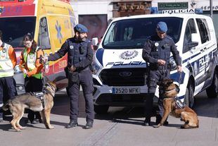 Efectivos de Policía Municipal