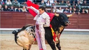 Bernadina de Fernando Adrián al espectacular y ofensivo tercer toro del que cortó una oreja.