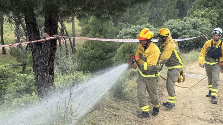 Simulacro de incendios en la Comunidad de Madrid.