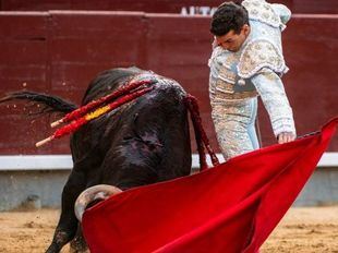 ¡Y se fueron con las orejas puestas!... Los toros