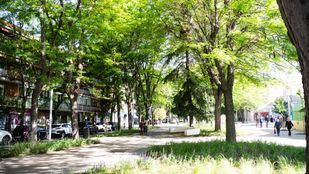 Almeida visita el paseo de Federico García Lorca, en Villa de Vallecas, que acaba de ser objeto de trabajos de remodelación.
