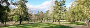 El delegado del Gobierno colaborará con el Ayuntamiento para abordar la situación del parque Paraíso