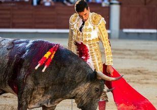 Unos saltillos descastados dejan sin opciones a una terna necesitada de triunfar