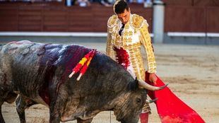 José Carlos Venegas muletea al primero de la tarde, el mejor presentado de la corrida.