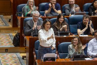 Manuela Bergerot en el Pleno de la Asamblea