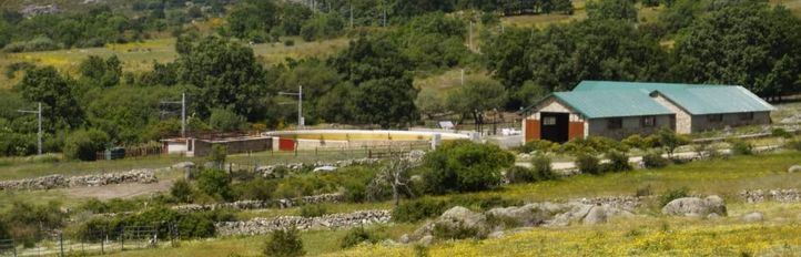 Ecologistas en Acción presenta un recurso contra la licencia de una plaza para capeas en Los Molinos