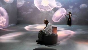 'Somos Naturaleza' pone de relieve la importancia de preservar el equilibrio de la Tierra