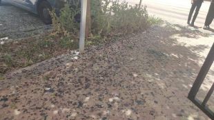 Suciedad de moras en el suelo