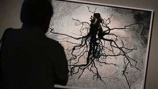 Desembarca en Madrid el universo de luces y sombras de la fotógrafa Viviane Sassen