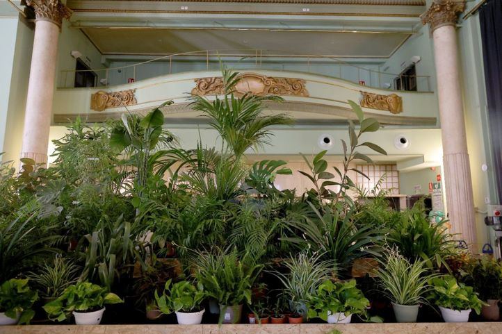 Refugios climáticos en Madrid: museos, centros culturales y sedes sindicales