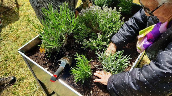 La Comunidad de Madrid organiza más de 200 actividades medioambientales gratuitas este verano para descubrir y conservar la biodiversidad