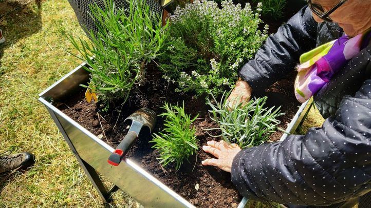Talleres, rutas y voluntariado: el verano verde de la Comunidad de Madrid