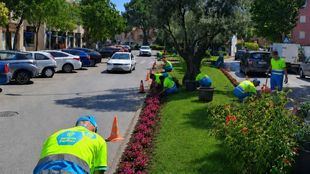 Mantenimiento de zonas verdes de Colmenar Viejo