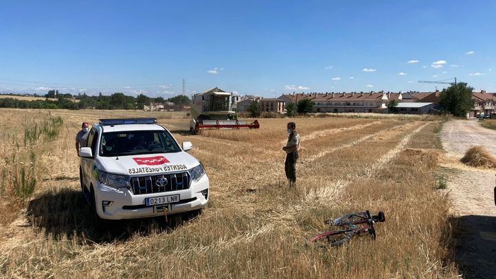 Agentes forestales vigilan la actividad de una cosechadora.
