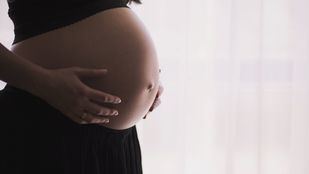 Madrid refuerza las ayudas por gestación, nacimiento y adopción