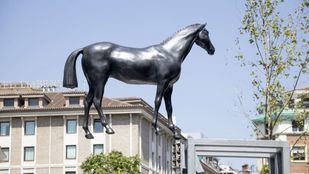 Caballo en la plaza del Carmen