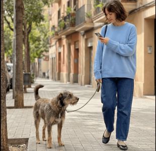 Madrid cambia la forma de cuidar a sus perros: por qué crecen los seguros para perros especializados