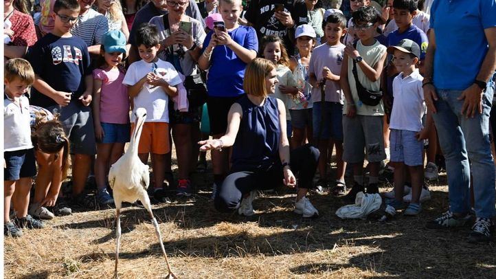 La Huerta del Obispo acoge la tradicional suelta de cigüeñas en Alcalá de Henares