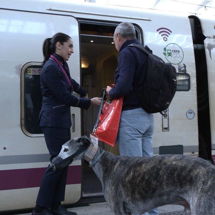 Renfe permitirá viajar en todos sus trenes con perros de hasta 40kg