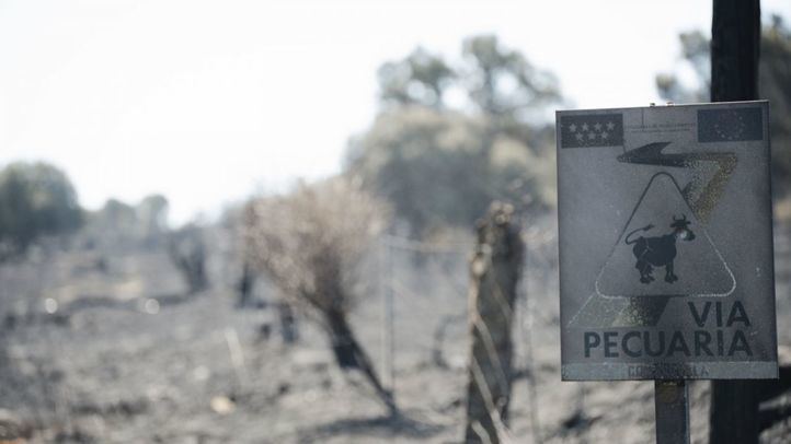 El incendio de Lozoyuela desciende a nivel 1 y la UME se retira tras quedar estabilizado